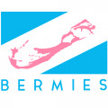 bermies-discount-code